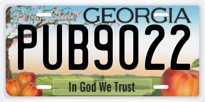 GA license plate PUB9022