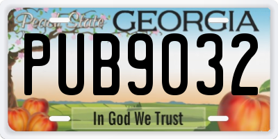 GA license plate PUB9032