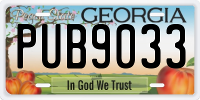 GA license plate PUB9033