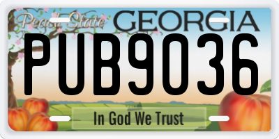 GA license plate PUB9036