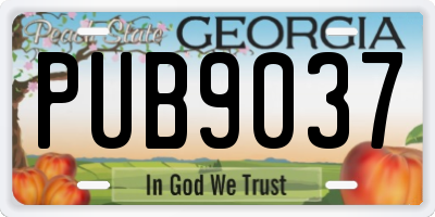GA license plate PUB9037