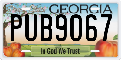 GA license plate PUB9067