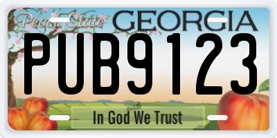 GA license plate PUB9123