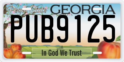 GA license plate PUB9125