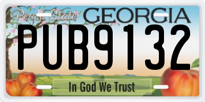 GA license plate PUB9132