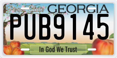 GA license plate PUB9145
