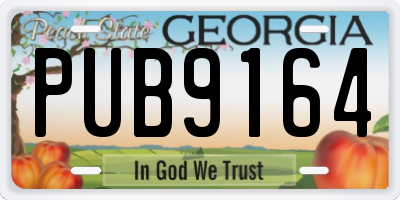 GA license plate PUB9164