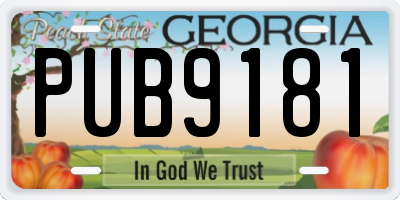 GA license plate PUB9181