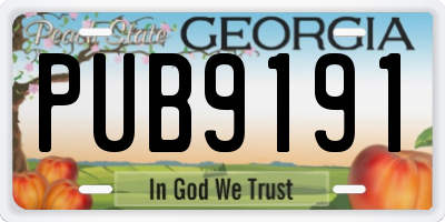 GA license plate PUB9191