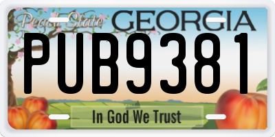 GA license plate PUB9381