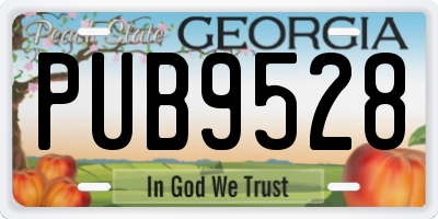 GA license plate PUB9528