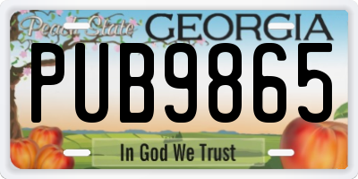 GA license plate PUB9865