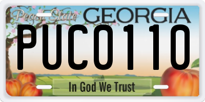 GA license plate PUC0110