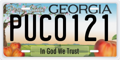 GA license plate PUC0121