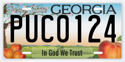 GA license plate PUC0124