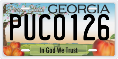 GA license plate PUC0126