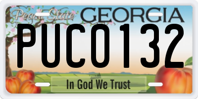 GA license plate PUC0132