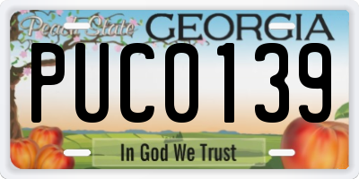 GA license plate PUC0139