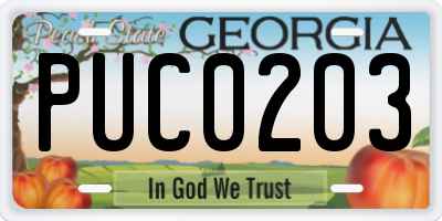 GA license plate PUC0203