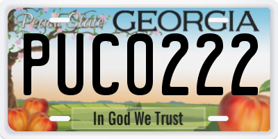 GA license plate PUC0222