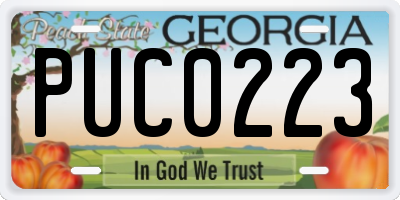 GA license plate PUC0223