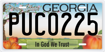 GA license plate PUC0225