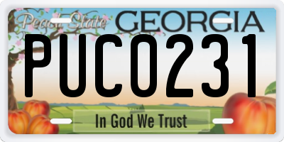 GA license plate PUC0231