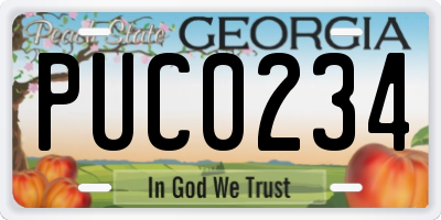GA license plate PUC0234