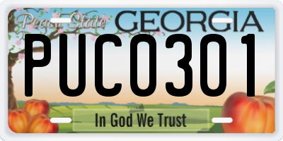 GA license plate PUC0301