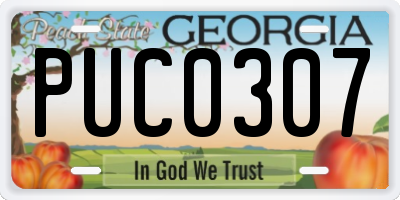 GA license plate PUC0307