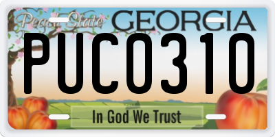 GA license plate PUC0310