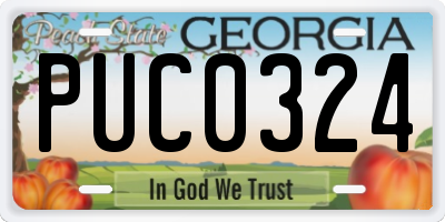 GA license plate PUC0324