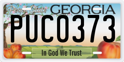 GA license plate PUC0373