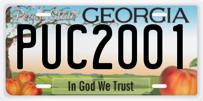 GA license plate PUC2001