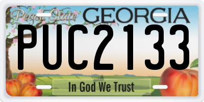 GA license plate PUC2133