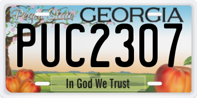 GA license plate PUC2307
