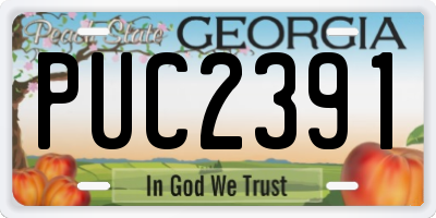 GA license plate PUC2391