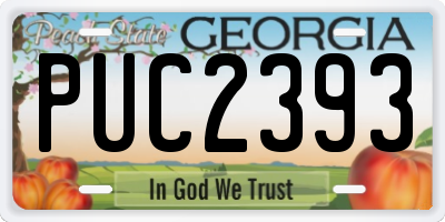 GA license plate PUC2393