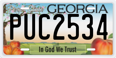 GA license plate PUC2534