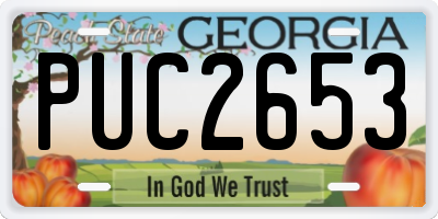 GA license plate PUC2653