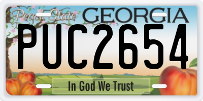 GA license plate PUC2654