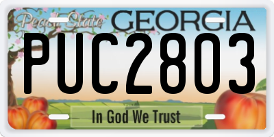 GA license plate PUC2803