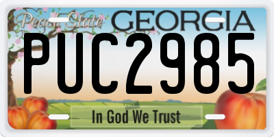 GA license plate PUC2985