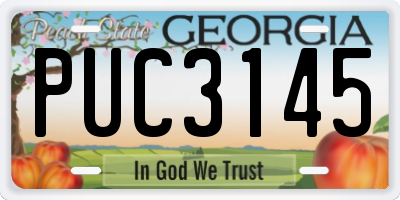 GA license plate PUC3145