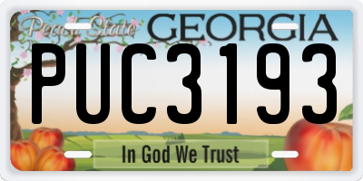 GA license plate PUC3193