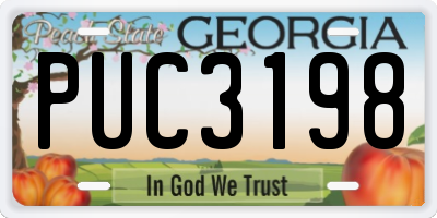 GA license plate PUC3198