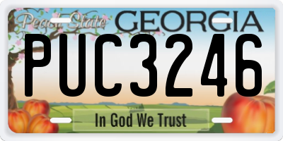 GA license plate PUC3246