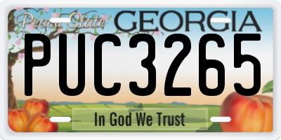 GA license plate PUC3265