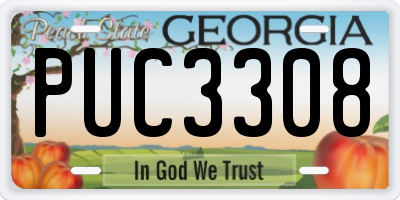 GA license plate PUC3308
