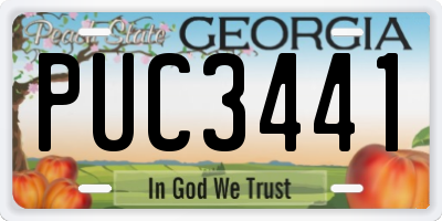 GA license plate PUC3441